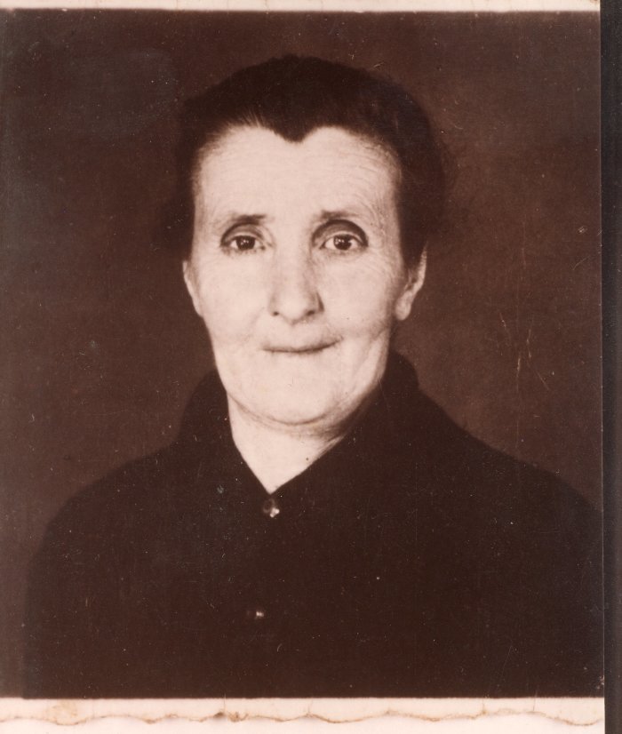 Photo avec l'âne tirant le foin sur la luge