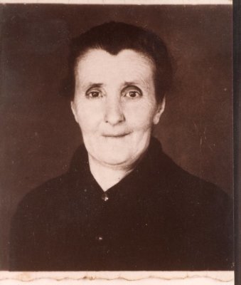 Photo avec l'âne tirant le foin sur la luge