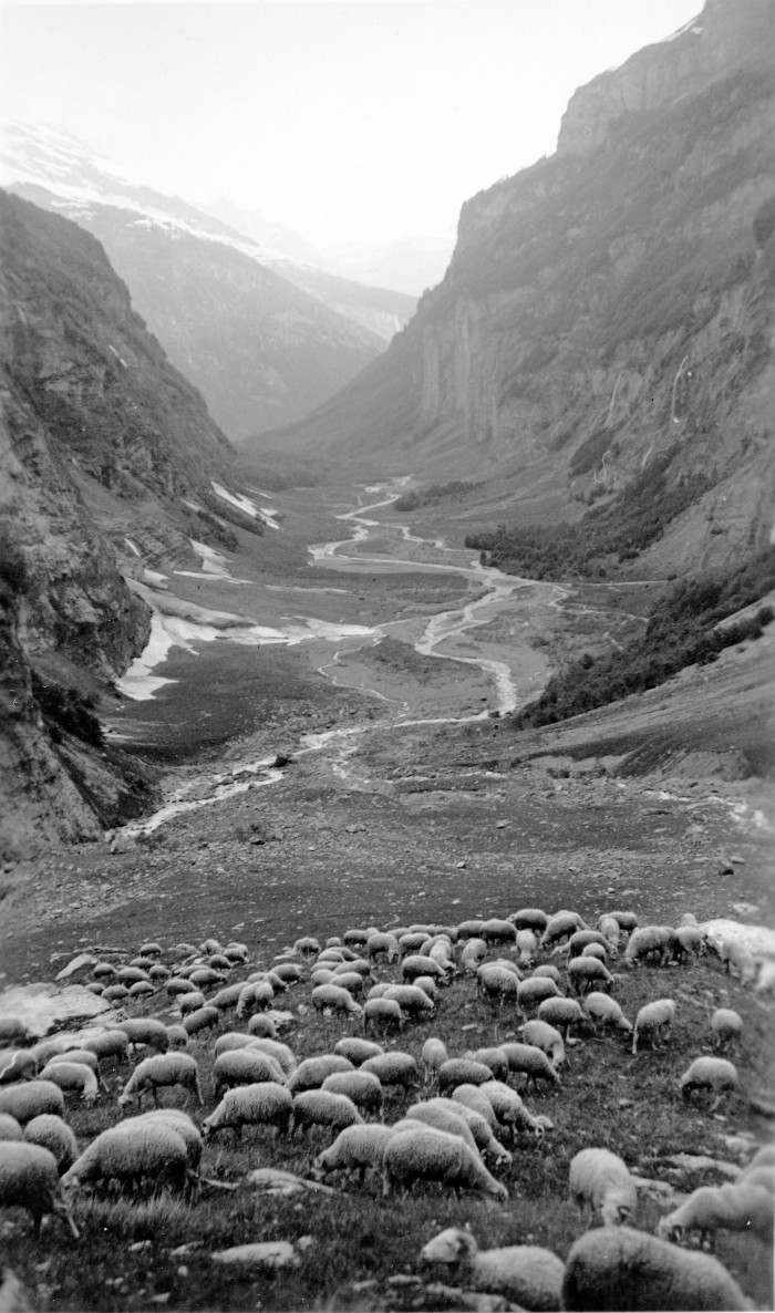 Photos au fond de la Combe