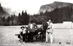 Photo avec les ânes au Fer à Cheval