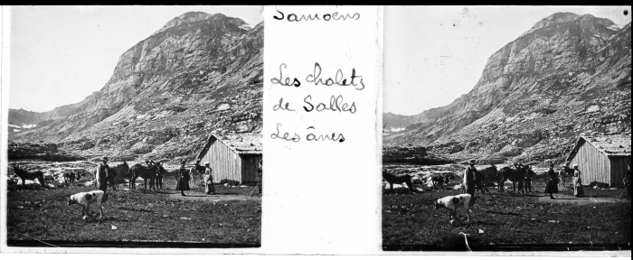 Les chalets de Sales avec les ânes