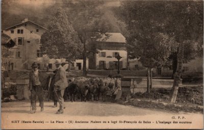 "L'inalpage des moutons" sur la Place de Sixt
