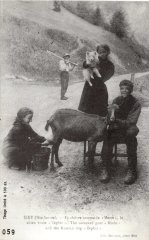 Carte postale de "La chèvre savoyarde "motte" et le chien "Zéphir"" à Sixt