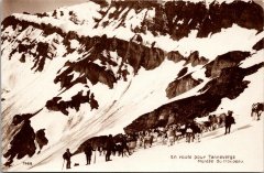 Montée du troupeau de vaches au Tenneverge