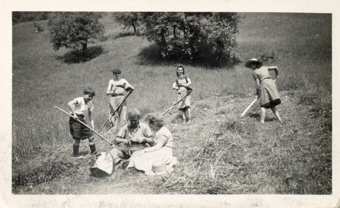 Photo des foins au Lochet