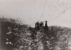 Les foins avec la jument en hiver 1980