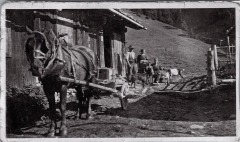 Photo devant la Cantine des Fonds avec la jument et les chèvres