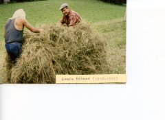 Louis BETEND faisant les foins