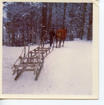 Joseph MOGENIER avec la jument 